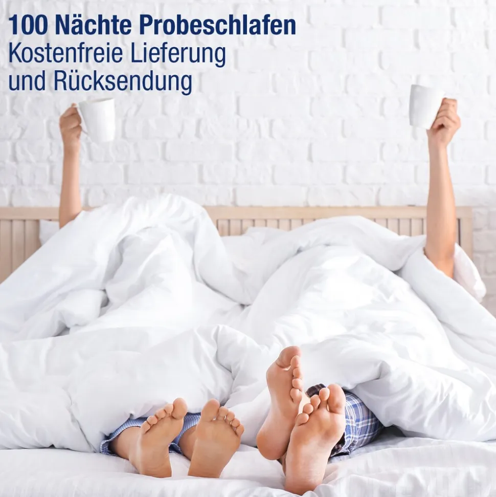 BeMeoBeMeo Federkern 21 cm Komfort-Höhe80 x 200 cm