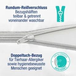 BeMeoBeMeo Federkern 21 cm Komfort-Höhe80 x 200 cm