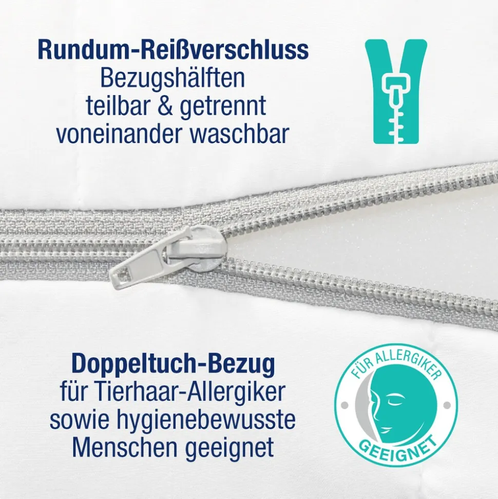 BeMeoBeMeo Federkern 21 cm Komfort-Höhe80 x 200 cm