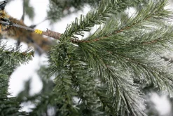 Evergreen Weihnachtsbaum Sherwood Fichte 180 cm