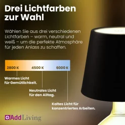 LED Flaschenlampe Bottle Light V2442 – Dimmbare Deko-Leuchte mit 3 Lichtfarben und TOUCH-Funktion für Innen & Außen schwarz