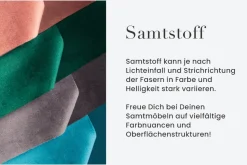riess-ambiente Bett SWING 180x200cm grau Samt mit Stauraum geschwungenes Rahmenbett