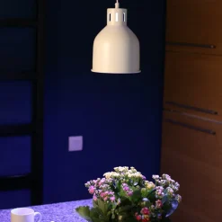 Venso EcoSolutions E27 SAGA Lampenschirm Schwarz, LED Pflanzenlampe E27 Pflanzenleuchte, LED Wachstumslampe, Anzuchtlampe Gemüse, Pflanzenlicht, Lampenschirm schwarz