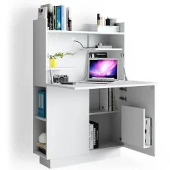 Vicco Schreibtisch-Schrank Alena Büroschrank Aktenschrank Computertisch Sekretär