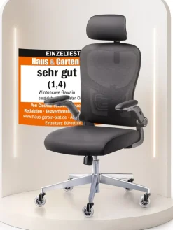 WINTONCOVE Gawain Bürostuhl Ergonomisch – Schwarz